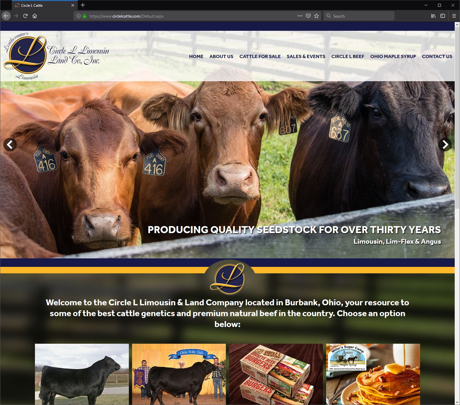 Modern & Responsive Custom .NET and SQL Server Web Design for Circle L Farm